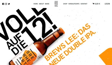 Shopify Stores — 4