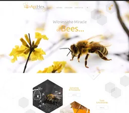 Web Designs — 3