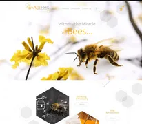 Web Designs